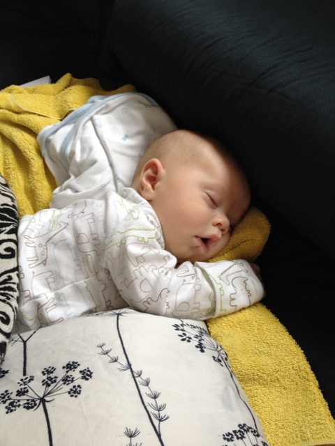 20120226-090929.jpg