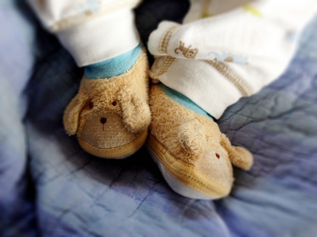 20120505-220924.jpg