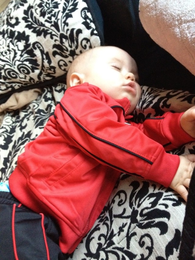 20121010-065049.jpg